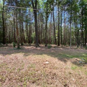 Photo #1 of Oak, Ramseur, NC 1.4 acres