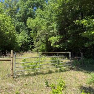 Photo #13 of Salem Church, Reidsville, NC 12.5 acres