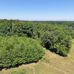 Photo #9 of Salem Church, Reidsville, NC 12.5 acres