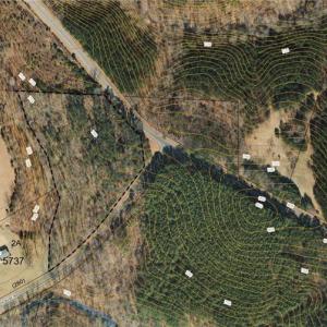 Photo #9 of Center Meeting House, Stoneville, NC 4.5 acres