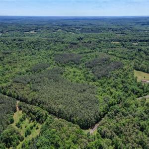 Photo #2 of Garrett, Stoneville, NC 84.9 acres