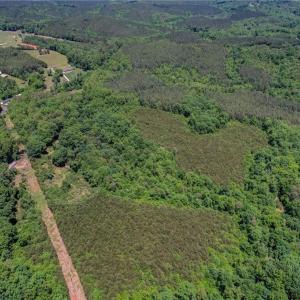 Photo #6 of Garrett, Stoneville, NC 84.9 acres