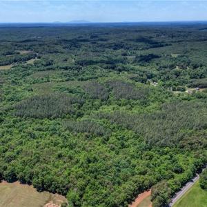 Photo #3 of Garrett, Stoneville, NC 84.9 acres