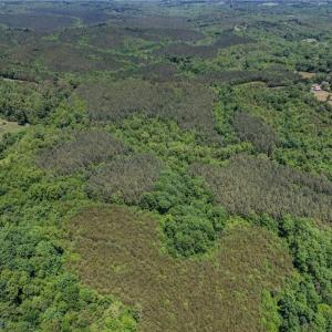 Photo #5 of Garrett, Stoneville, NC 84.9 acres