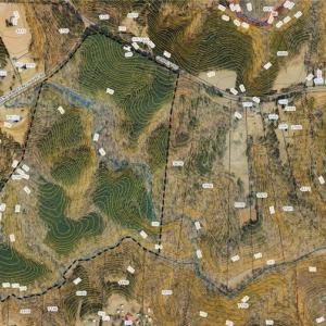 Photo #15 of Garrett, Stoneville, NC 84.9 acres