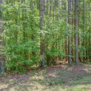 Photo #11 of Garrett, Stoneville, NC 84.9 acres