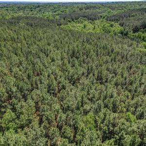 Photo #8 of Garrett, Stoneville, NC 84.9 acres