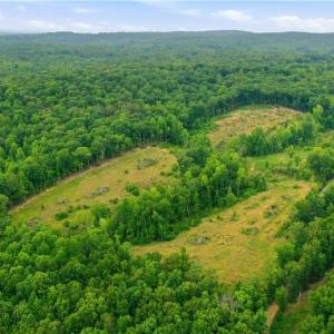 Photo #2 of Cane Creek, Snow Camp, NC 18.4 acres
