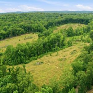 Photo #17 of Cane Creek, Snow Camp, NC 18.4 acres