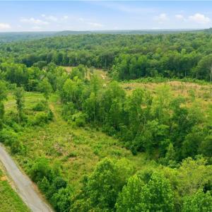 Photo #16 of Cane Creek, Snow Camp, NC 18.4 acres