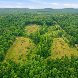 Photo #3 of Cane Creek, Snow Camp, NC 18.4 acres