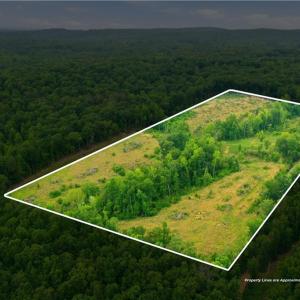 Photo #1 of Cane Creek, Snow Camp, NC 18.4 acres