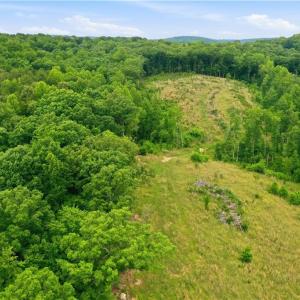 Photo #14 of Cane Creek, Snow Camp, NC 18.4 acres