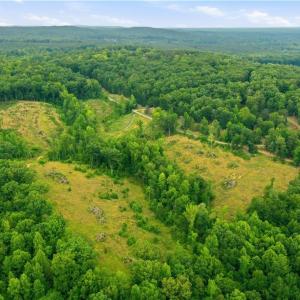 Photo #4 of Cane Creek, Snow Camp, NC 18.4 acres