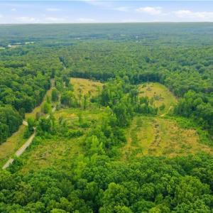 Photo #8 of Cane Creek, Snow Camp, NC 18.4 acres
