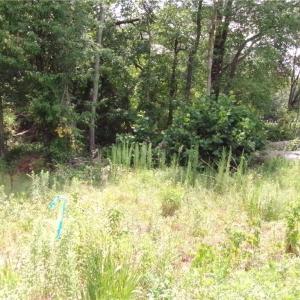 Photo #3 of 1706 Mount Hope Church, McLeansville, NC 13.9 acres