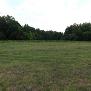 Photo #1 of 1706 Mount Hope Church, McLeansville, NC 13.9 acres