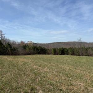 Photo #27 of 508 New Lebanon Church, Reidsville, NC 47.7 acres