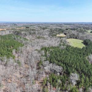 Photo #6 of 508 New Lebanon Church, Reidsville, NC 47.7 acres