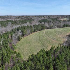 Photo #13 of 508 New Lebanon Church, Reidsville, NC 47.7 acres