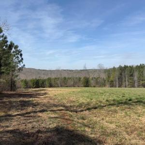 Photo #26 of 508 New Lebanon Church, Reidsville, NC 47.7 acres