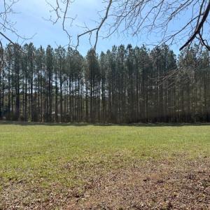 Photo #22 of 508 New Lebanon Church, Reidsville, NC 47.7 acres