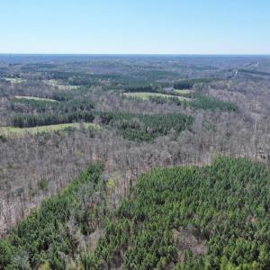 Photo #5 of 508 New Lebanon Church, Reidsville, NC 47.7 acres