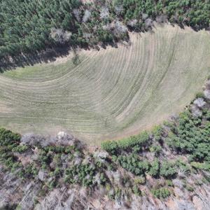 Photo #9 of 508 New Lebanon Church, Reidsville, NC 47.7 acres