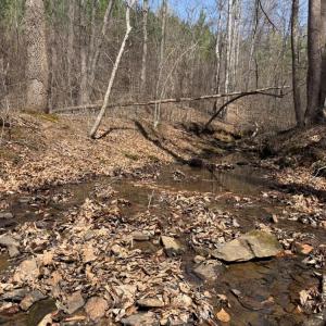 Photo #30 of 508 New Lebanon Church, Reidsville, NC 47.7 acres