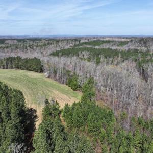 Photo #10 of 508 New Lebanon Church, Reidsville, NC 47.7 acres