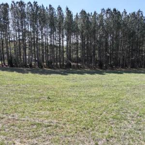 Photo #14 of 508 New Lebanon Church, Reidsville, NC 47.7 acres