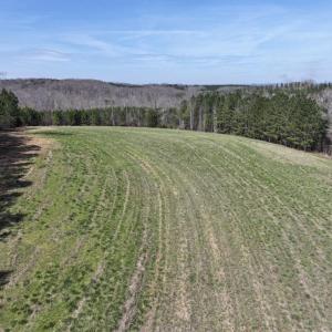 Photo #18 of 508 New Lebanon Church, Reidsville, NC 47.7 acres