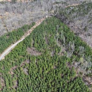 Photo #11 of 508 New Lebanon Church, Reidsville, NC 47.7 acres