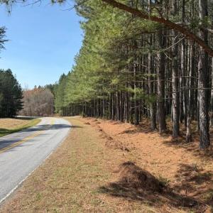 Photo #19 of 508 New Lebanon Church, Reidsville, NC 47.7 acres