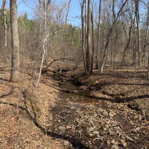 Photo #31 of 508 New Lebanon Church, Reidsville, NC 47.7 acres