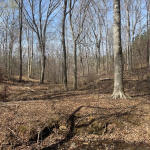 Photo #29 of 508 New Lebanon Church, Reidsville, NC 47.7 acres