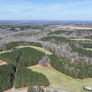 Photo #4 of 508 New Lebanon Church, Reidsville, NC 47.7 acres