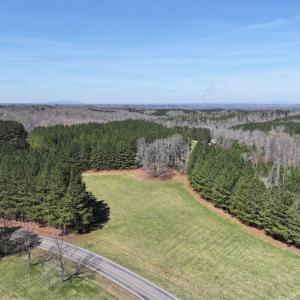 Photo #8 of 508 New Lebanon Church, Reidsville, NC 47.7 acres