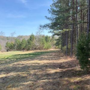 Photo #25 of 508 New Lebanon Church, Reidsville, NC 47.7 acres
