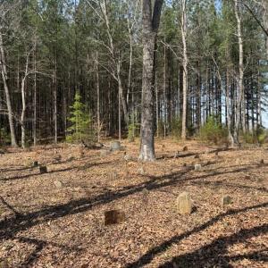 Photo #21 of 508 New Lebanon Church, Reidsville, NC 47.7 acres