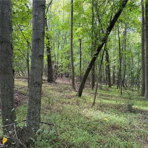 Photo #22 of 6725 US Highway 158, Stokesdale, NC 12.5 acres
