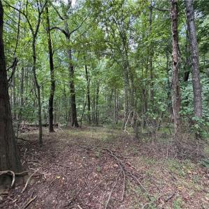 Photo #20 of 6725 US Highway 158, Stokesdale, NC 12.5 acres