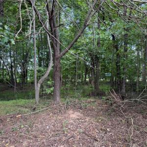 Photo #18 of 6725 US Highway 158, Stokesdale, NC 12.5 acres