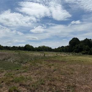 Photo #15 of 6725 US Highway 158, Stokesdale, NC 12.5 acres