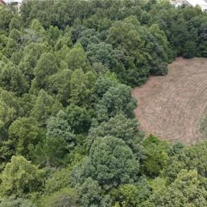 Photo #11 of 6725 US Highway 158, Stokesdale, NC 12.5 acres