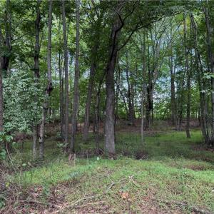 Photo #19 of 6725 US Highway 158, Stokesdale, NC 12.5 acres