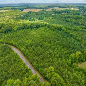 Photo #6 of 13.3 +/- Ac Godbey, Mocksville, NC 13.3 acres