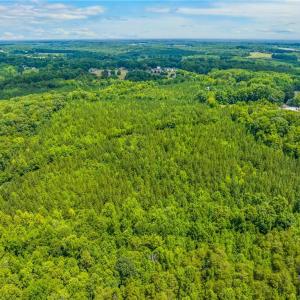 Photo #5 of 13.3 +/- Ac Godbey, Mocksville, NC 13.3 acres