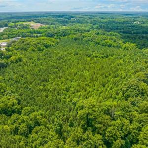 Photo #9 of 13.3 +/- Ac Godbey, Mocksville, NC 13.3 acres