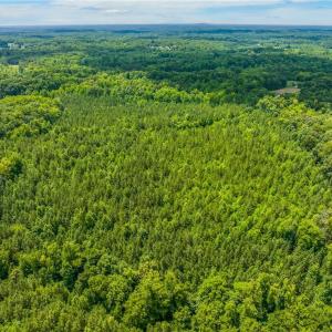 Photo #10 of 13.3 +/- Ac Godbey, Mocksville, NC 13.3 acres